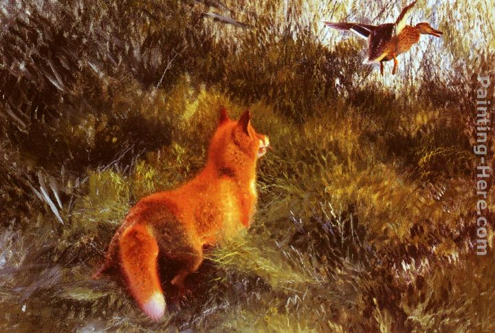 Eluding The Fox painting - Bruno Liljefors Eluding The Fox art painting